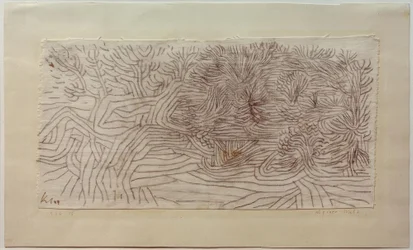 Forêt alpine